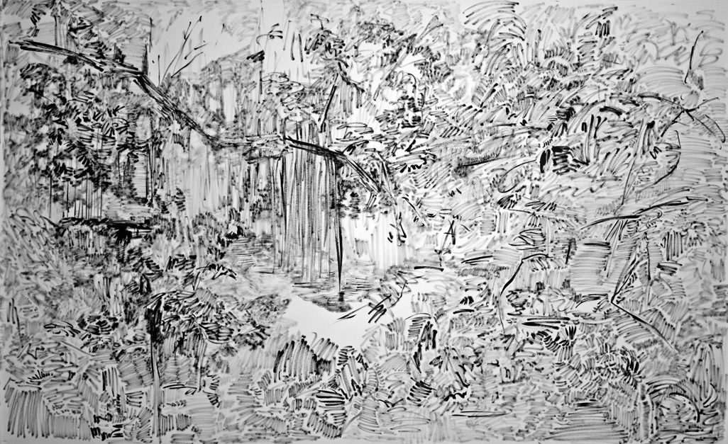 The Hidden Dimension and Other Observations No. 133, 2016-2017; ink on paper; 60x96 in.