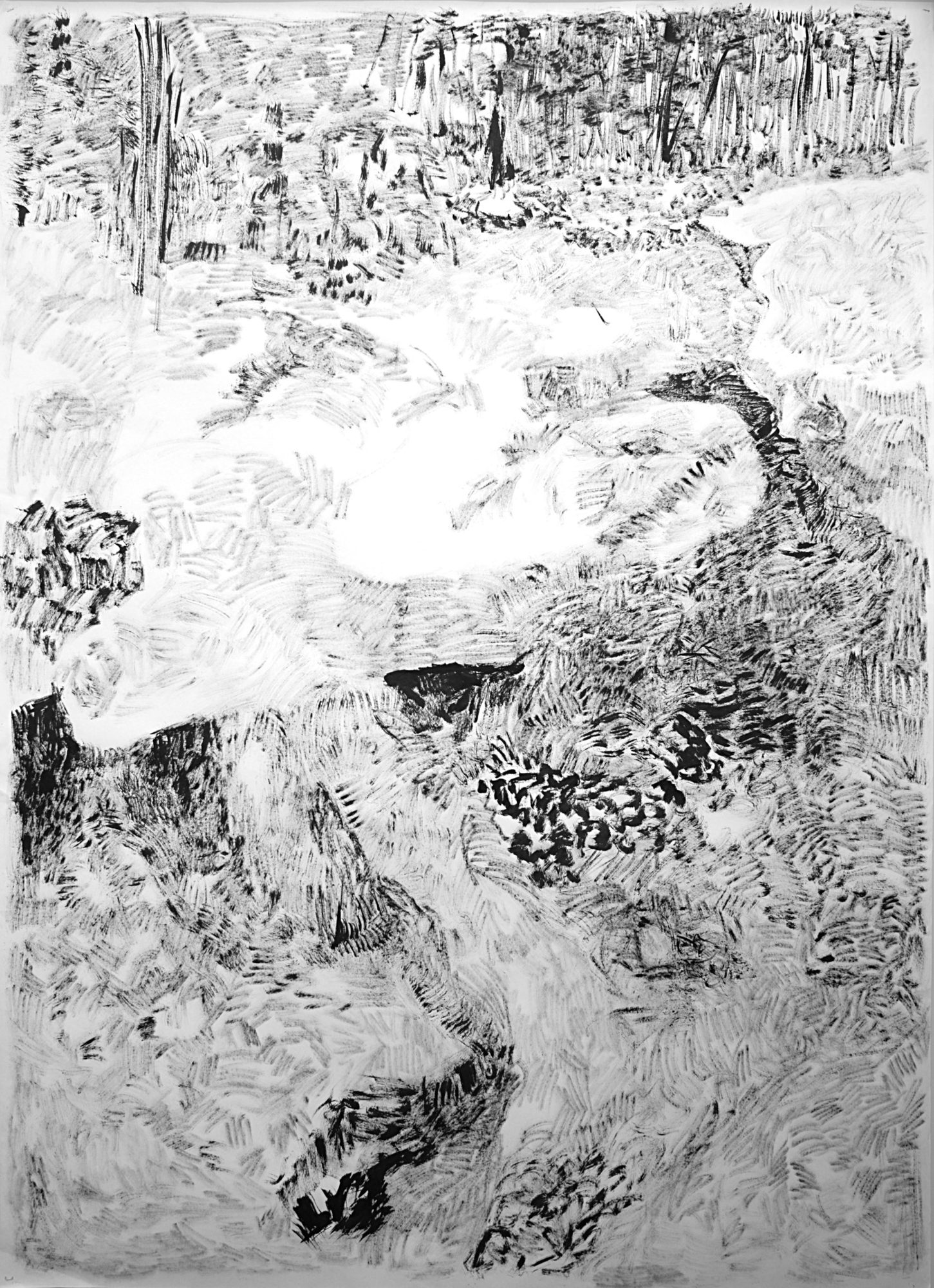 The Hidden Dimension and Other observations No.159, 2017, Ink on paper, 60"x83"