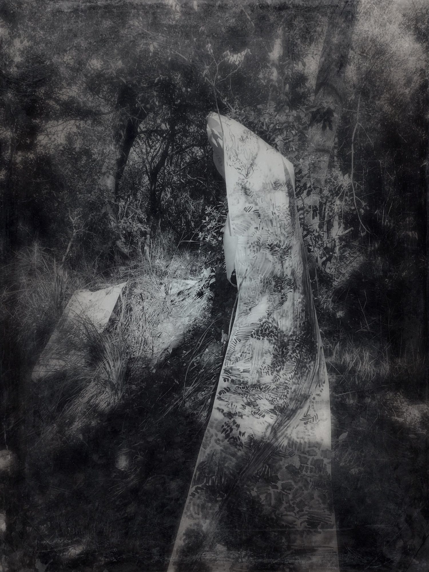 ECHOES OF A SILENT SORROW