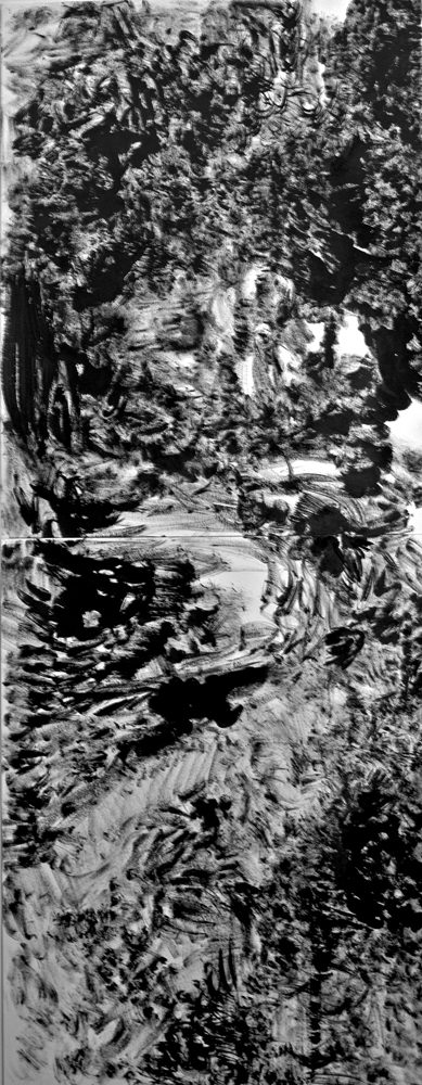 The Hidden Dimension and Other observations No.171, 2016, Ink on paper, 48"x18”"